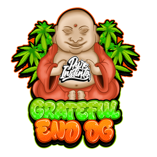 Grateful End OG | Feminisierte Cannabissamen - Cannabisverein Recklinghausen e.V.
