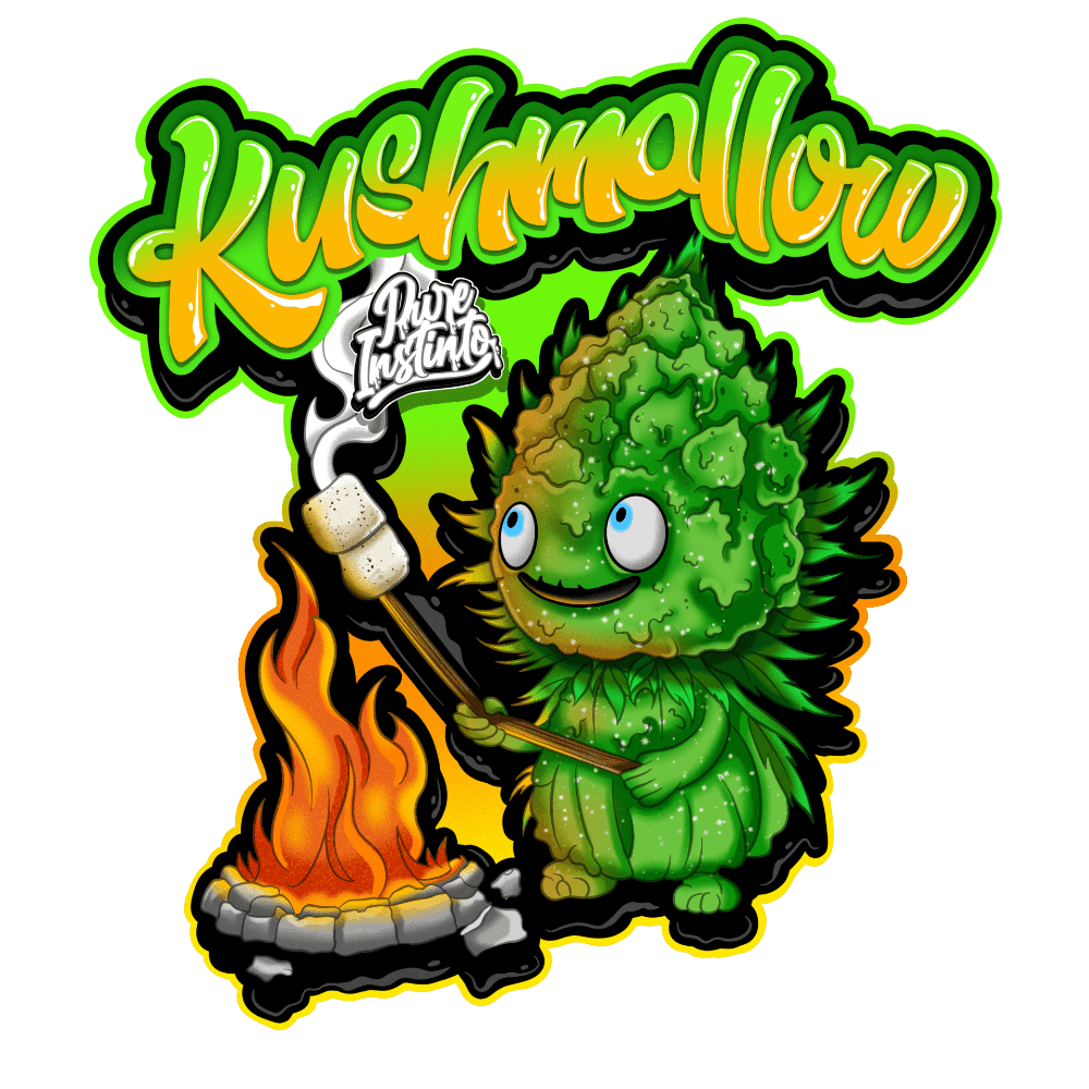 Kushmallow | Feminisierte Cannabissamen - Cannabisverein Recklinghausen e.V.