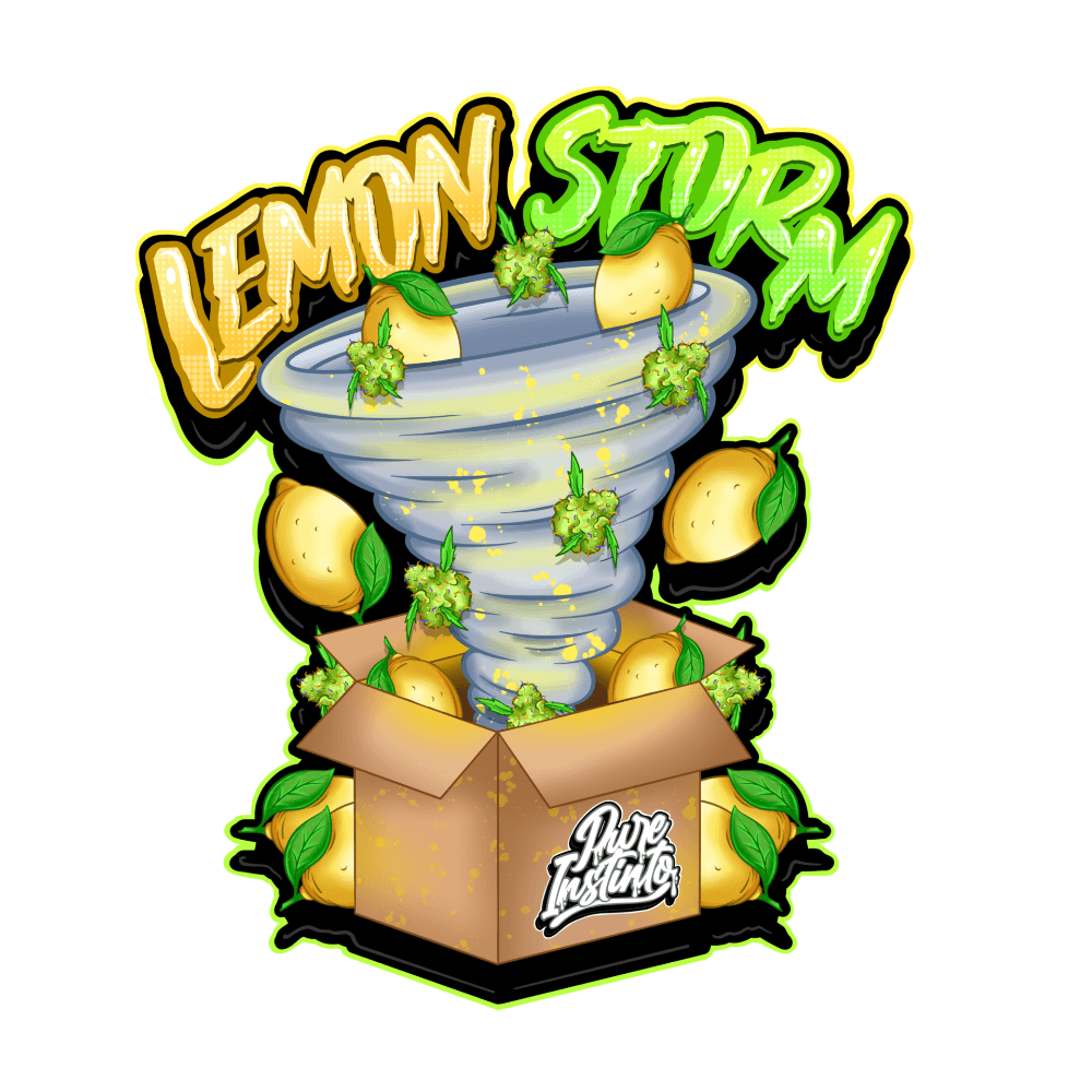 Lemon Storm | Feminisierte Cannabissamen - Cannabisverein Recklinghausen e.V.