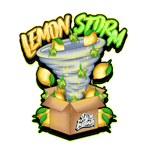 Lemon Storm | Feminisierte Cannabissamen - Cannabisverein Recklinghausen e.V.