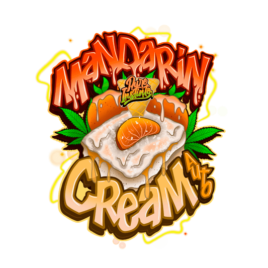 Cream Mandarine | Autoflower Cannabissamen - Cannabisverein Recklinghausen e.V.