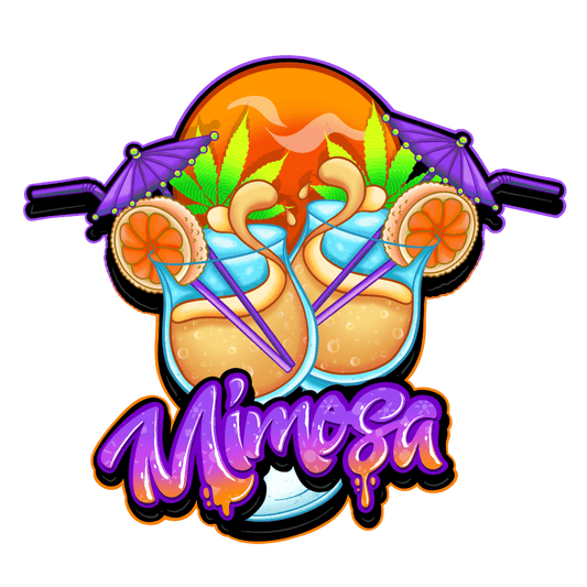Mimosa | Feminisierte Cannabissamen - Cannabisverein Recklinghausen e.V.