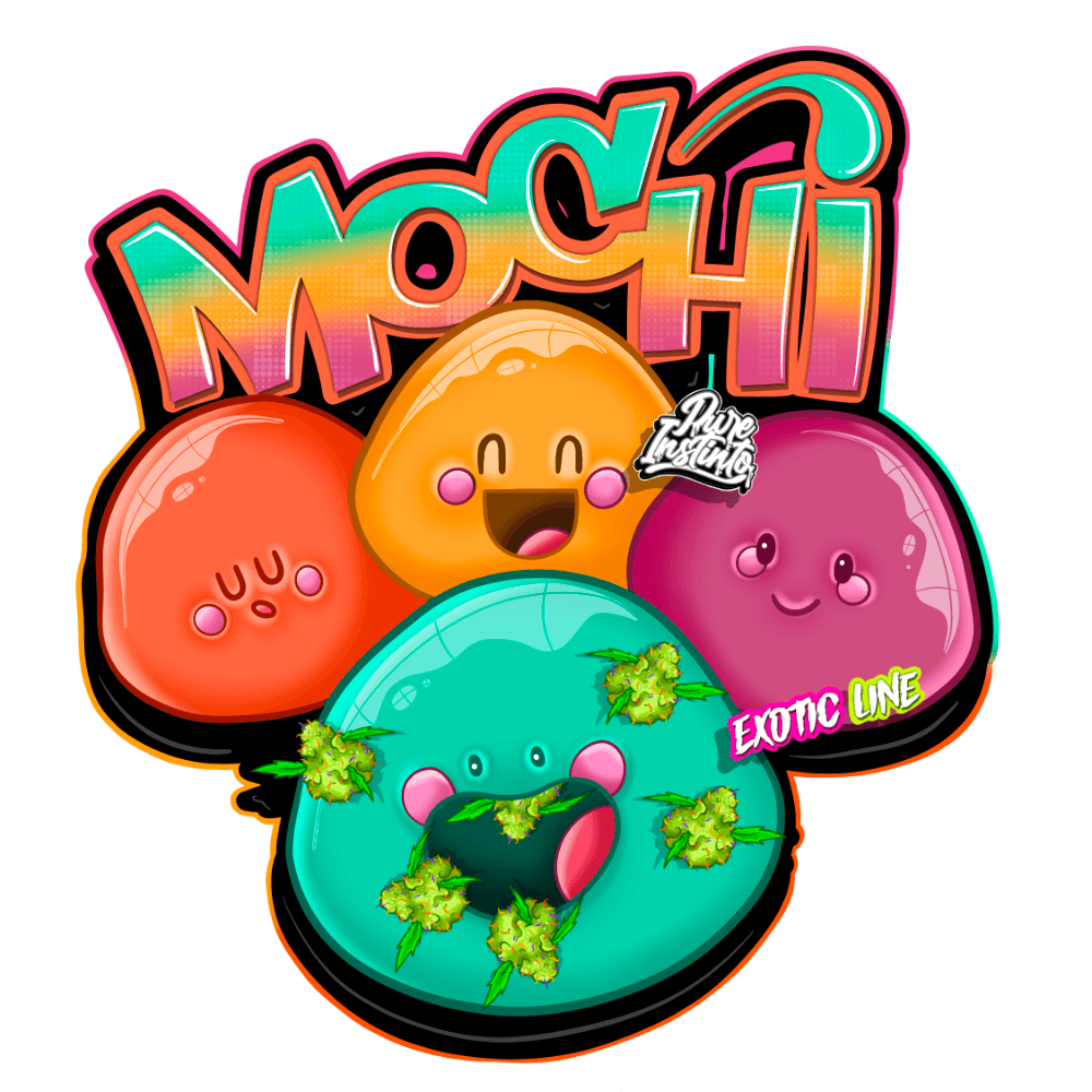 Mochi | Feminisierte Cannabissamen | Exotic Line - Cannabisverein Recklinghausen e.V.