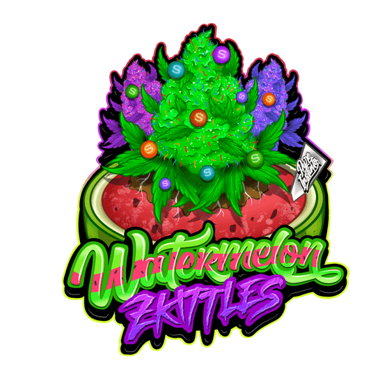 Watermelon Zkittles | Feminisierte Cannabissamen - Cannabisverein Recklinghausen e.V.