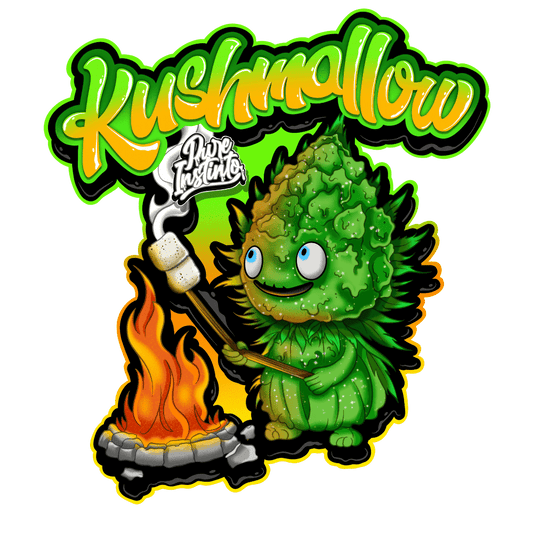 Kushmallow | Feminisierte Cannabissamen - Cannabisverein Recklinghausen e.V.