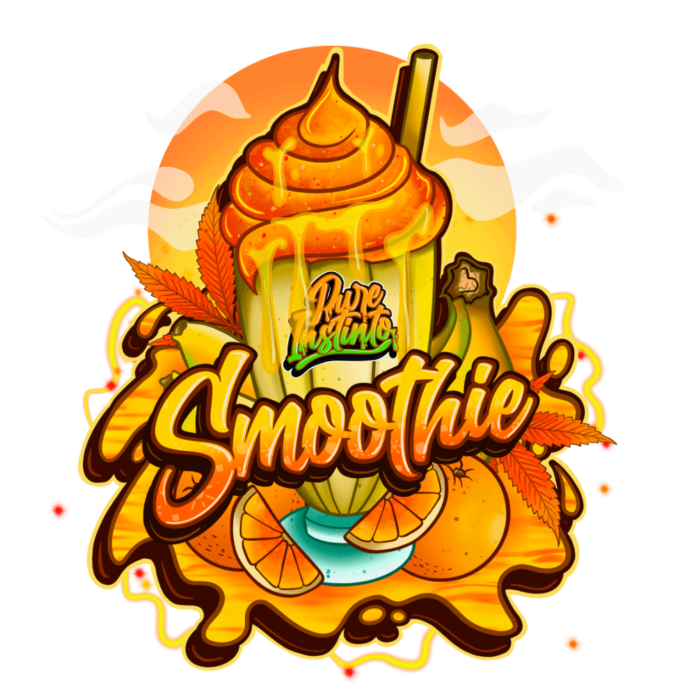Smoothie | Feminisierte Cannabissamen - Cannabisverein Recklinghausen e.V.